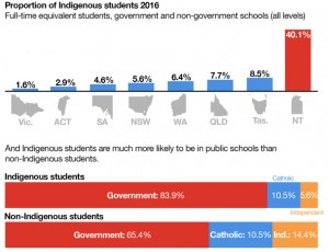 Indigenous students by system